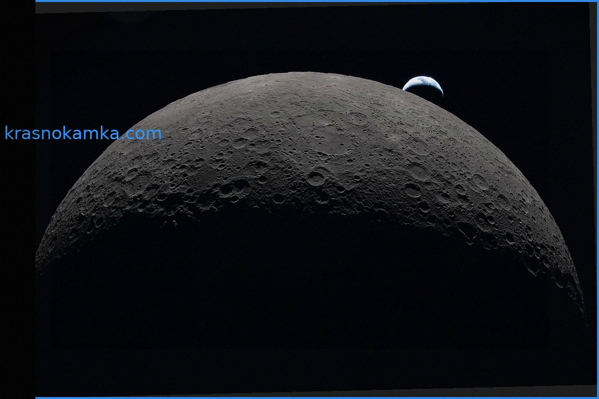 Микробы человека могут выжить на Южном полюсе Луны, согласно данным NASA