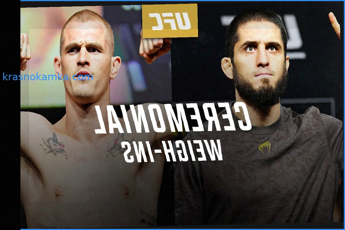 UFC 330: Результаты взвешивания и видео – Махачев против Мачадо Гарри