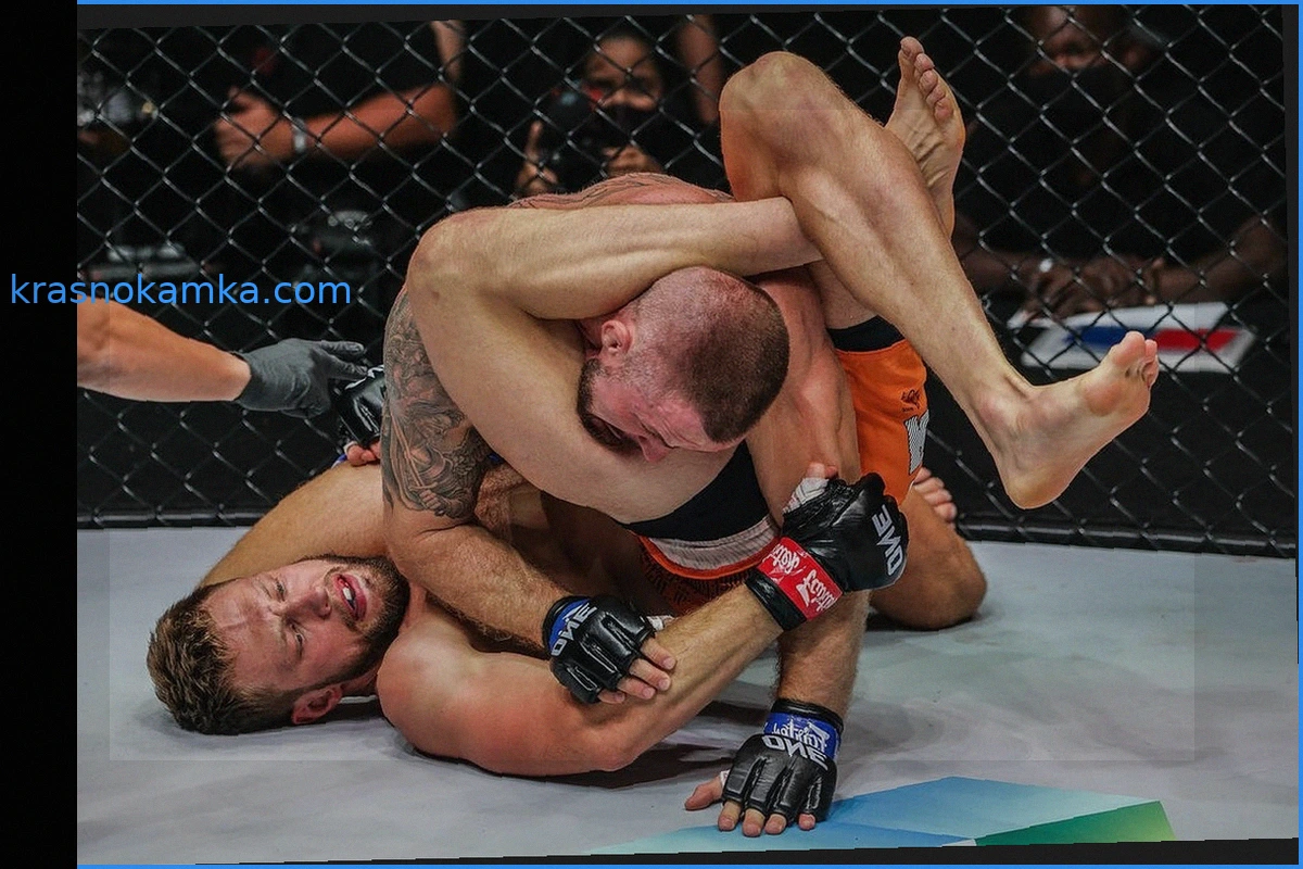 Ставки на способ победы в UFC: КО, Сабмишн и Решение судей