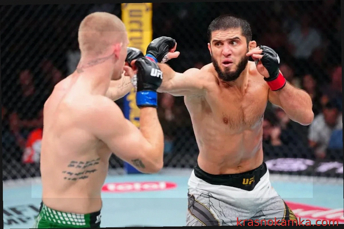 Что дальше для звезд UFC 330?